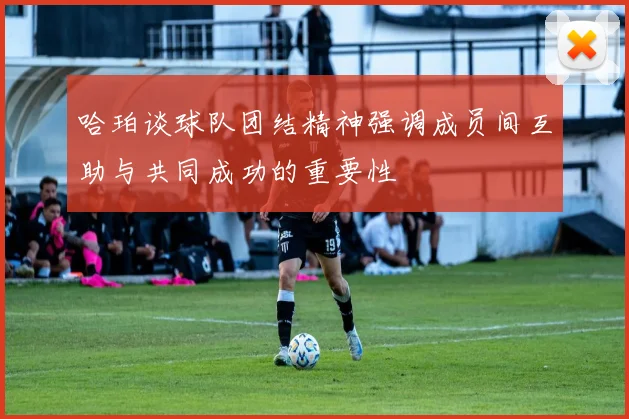 哈珀谈球队团结精神强调成员间互助与共同成功的重要性